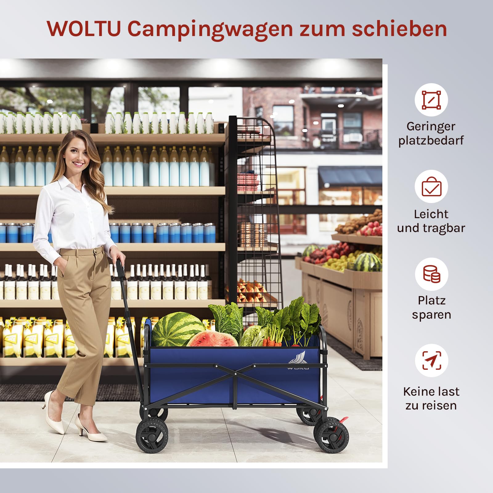 WOLTU Bollerwagen faltbar, Handwagen Transportwagen klappbar, Gartenwagen Strandwagen mit Bremsen Doppelrädern, Trolley für Garten Strand Camping, 80 kg belastbar, Blau