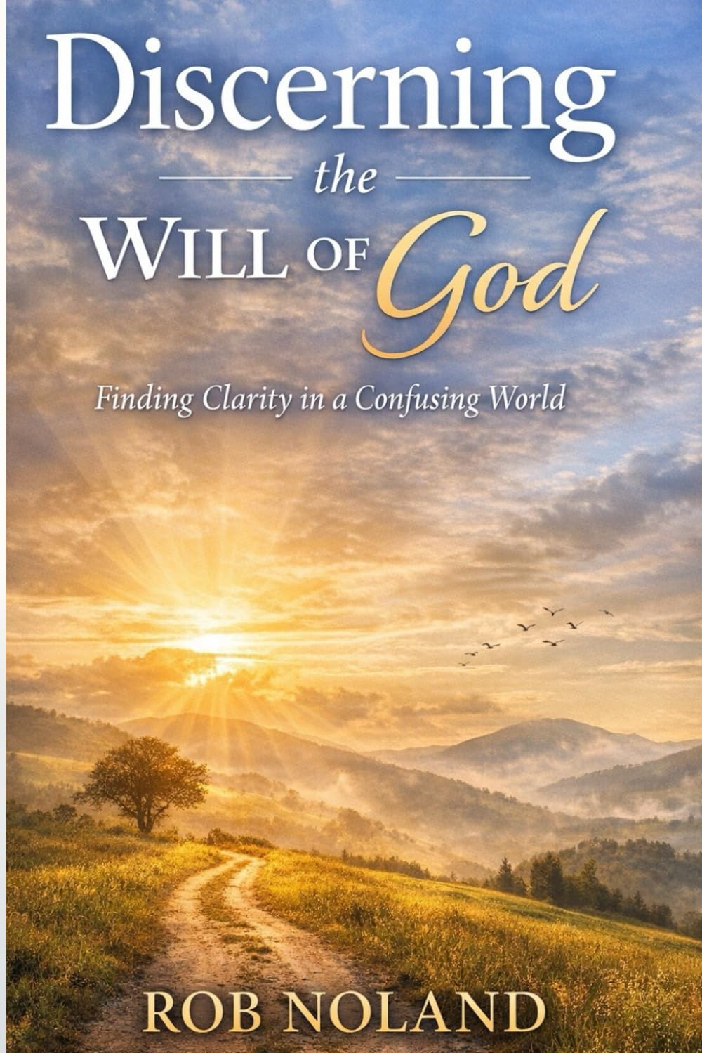 Discerning the Will of God: Finding Clarity in a Confusing World