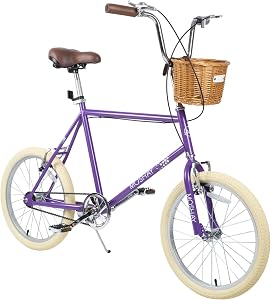 MOSHAY 20-inch Beach Cruiser Bicycle, a City Bike Suitable for Girls, Teenagers, and People Aged 14 and Above, Featuring a Lightweight Girs Bicycle with a Wicker Basket