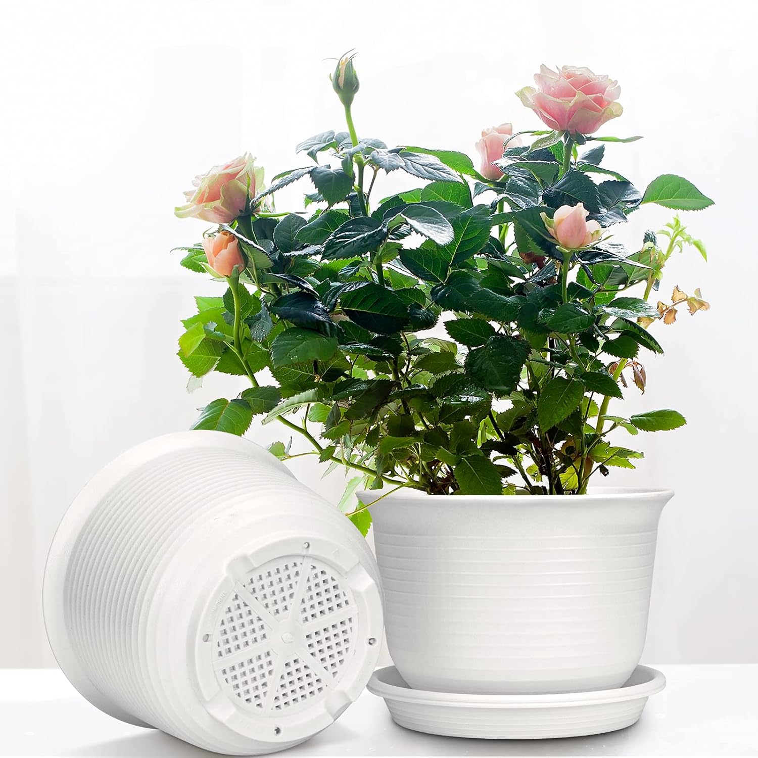 Flower pot, plant pots, plastic planter, small flower pots with saucer