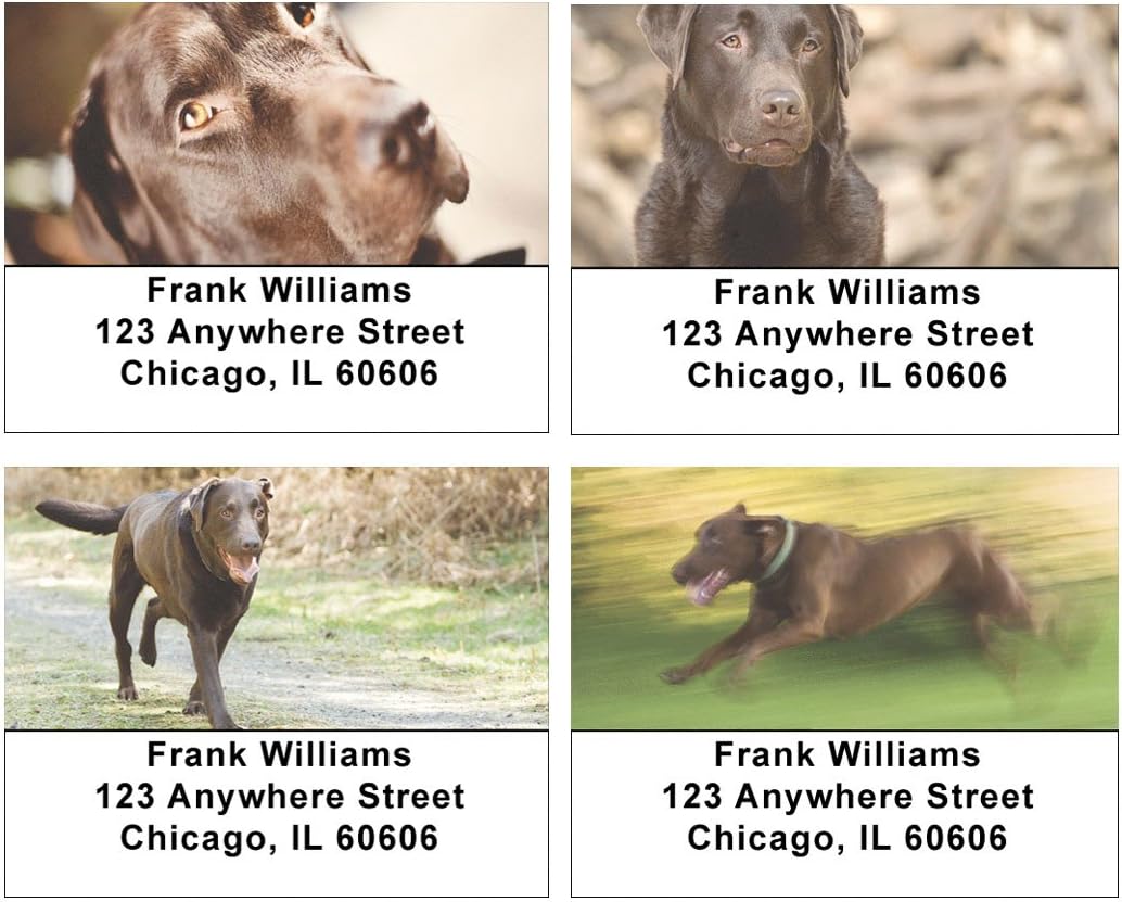 Chocolate Labs Address Labels