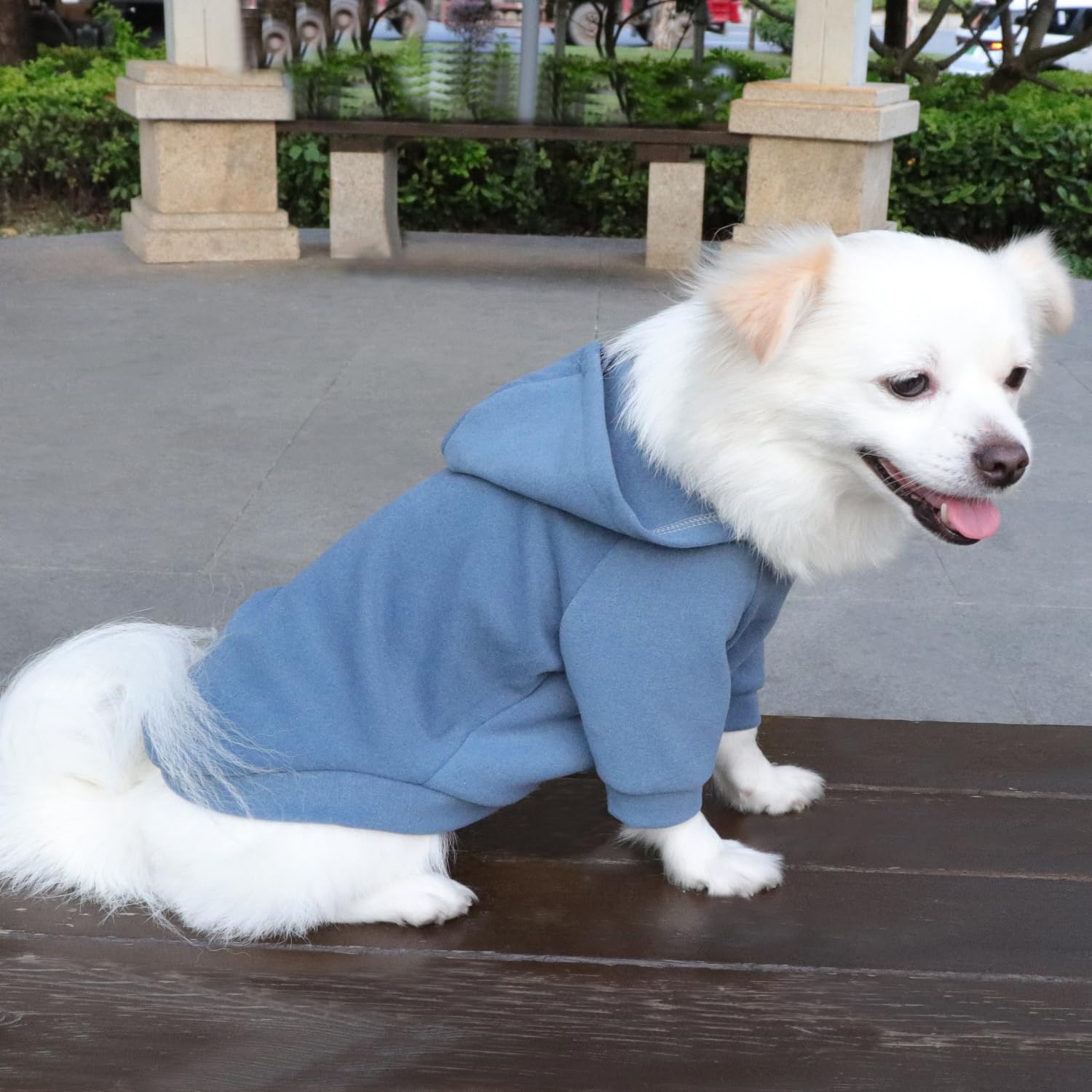 HuaLiSiJi Dog Hoodie Dog Sweatshirt Warm and Lightweight, With a Soft Texture - Image 4