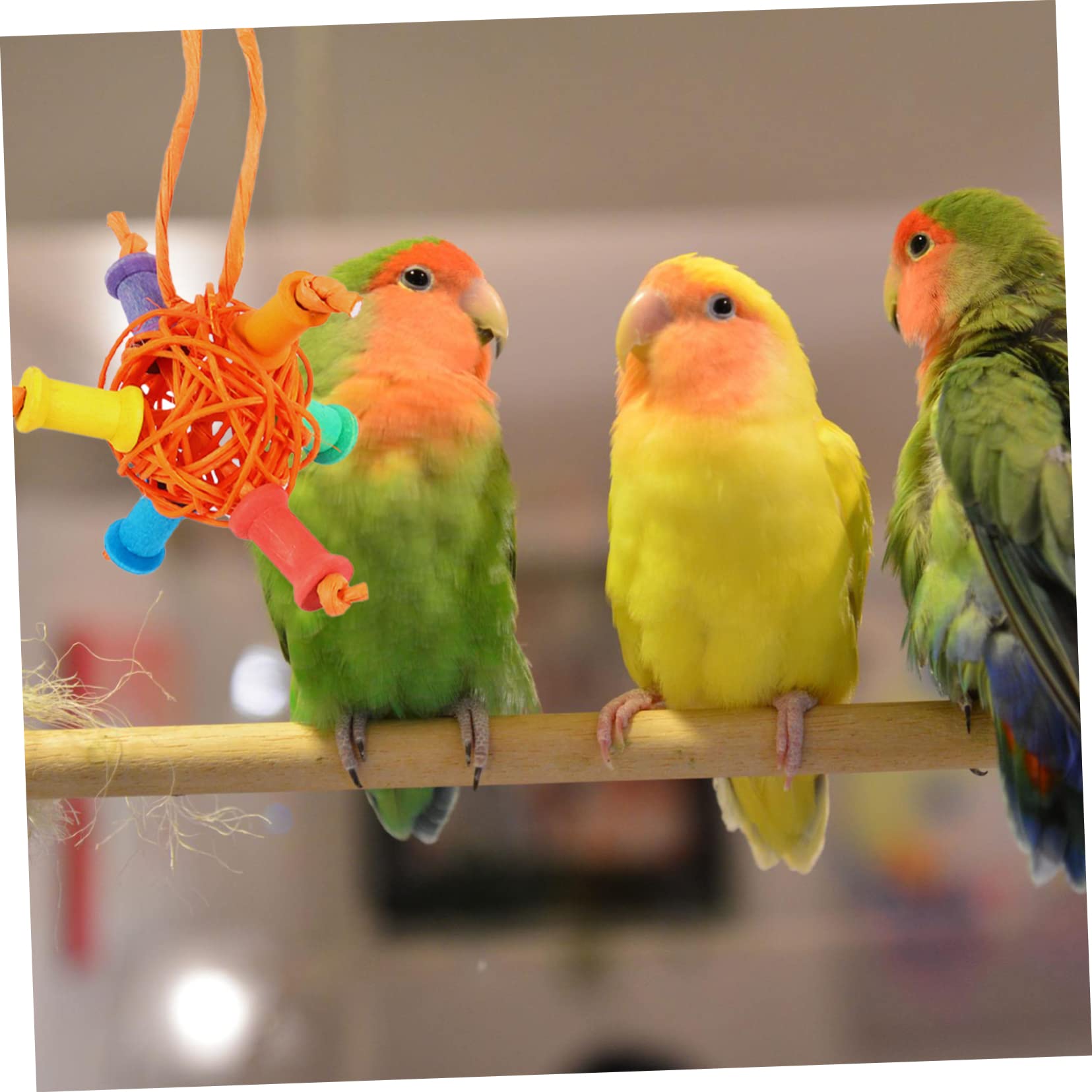 HEMOTON 1Set Colorful Parrot Chewing Bird Perch Swings for Budgies Lovebirds Parrots Durable Rope Fun Ring Design for Chewing Playtime Activities