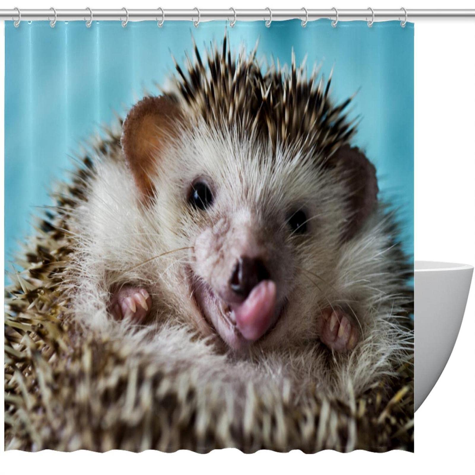 Hedgehog Shower Curtain Washable Waterproof Bathroom Curtain with 12 Hooks, 72x72 Inches