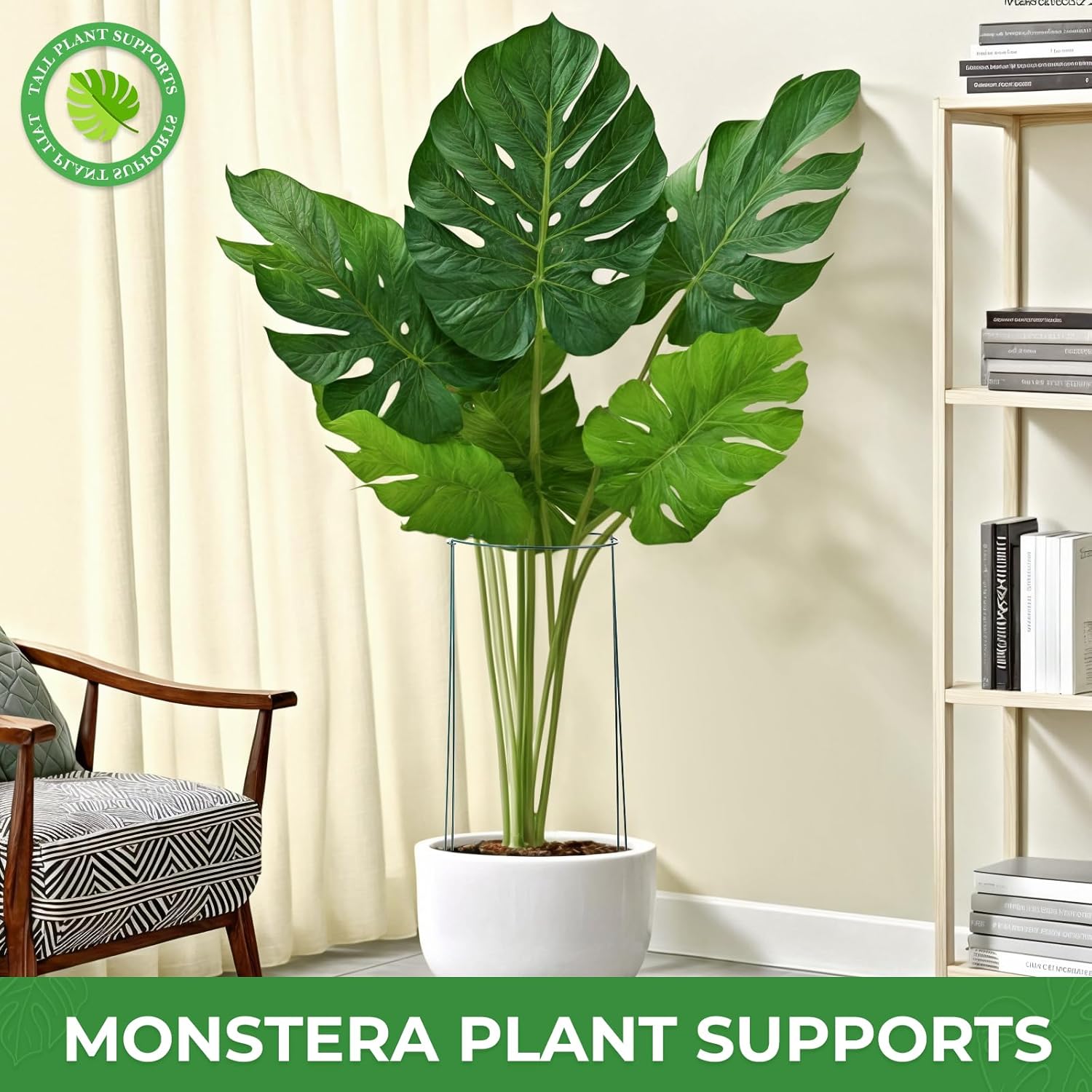 LEOBRO 24 Inch Plant Support Stakes, 6PCS Plant Stakes, Peony Cages and Supports, Garden Stakes, Plant Supports for Outdoor Plants Indoor Plants, Monstera Tomato Hydrangea Support Cage, 10" W x 24" H