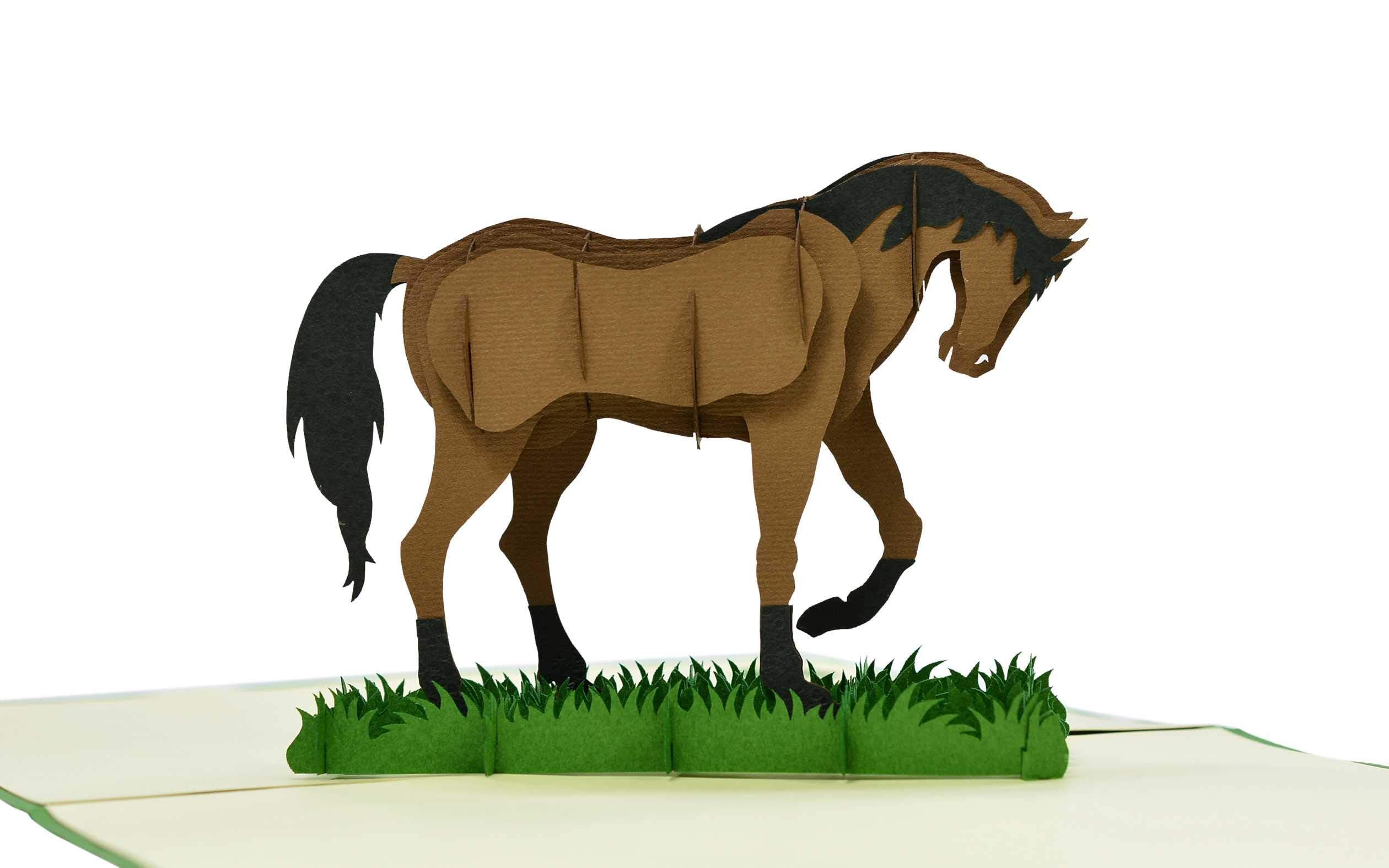 Biglietto Di Compleanno Con Cavallo 145x145mm - Carino Per Ragazze, Ecologico Con Busta Di Lusso