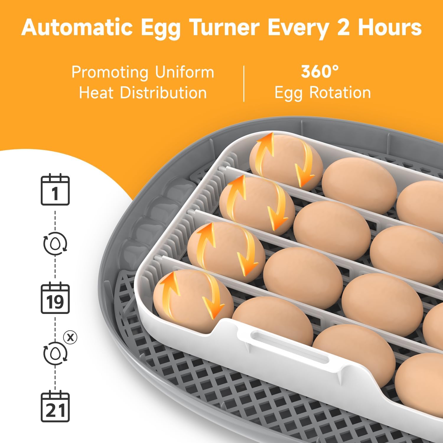 Diagram illustrating the automatic egg turning mechanism, showing eggs rotating 360 degrees.