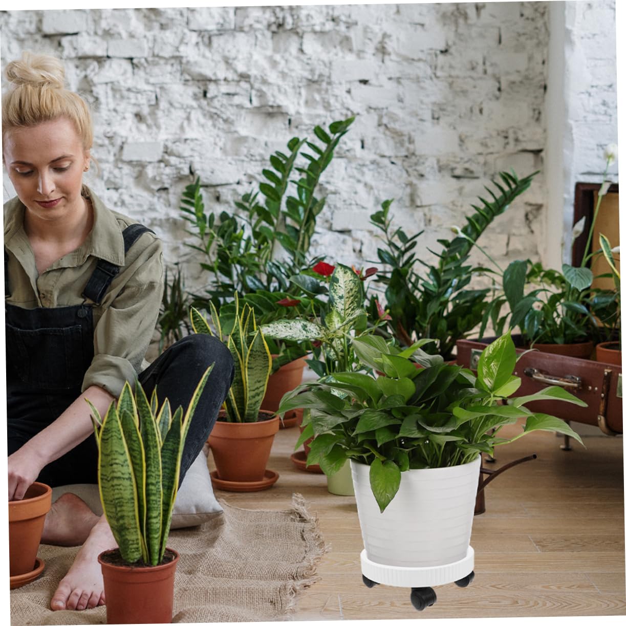 Support De Plantes Mobile Avec Roulettes OFFSCH - Plateau Rond Pour Pots, Intérieur/extérieur, Balcon Et Jardin - 7