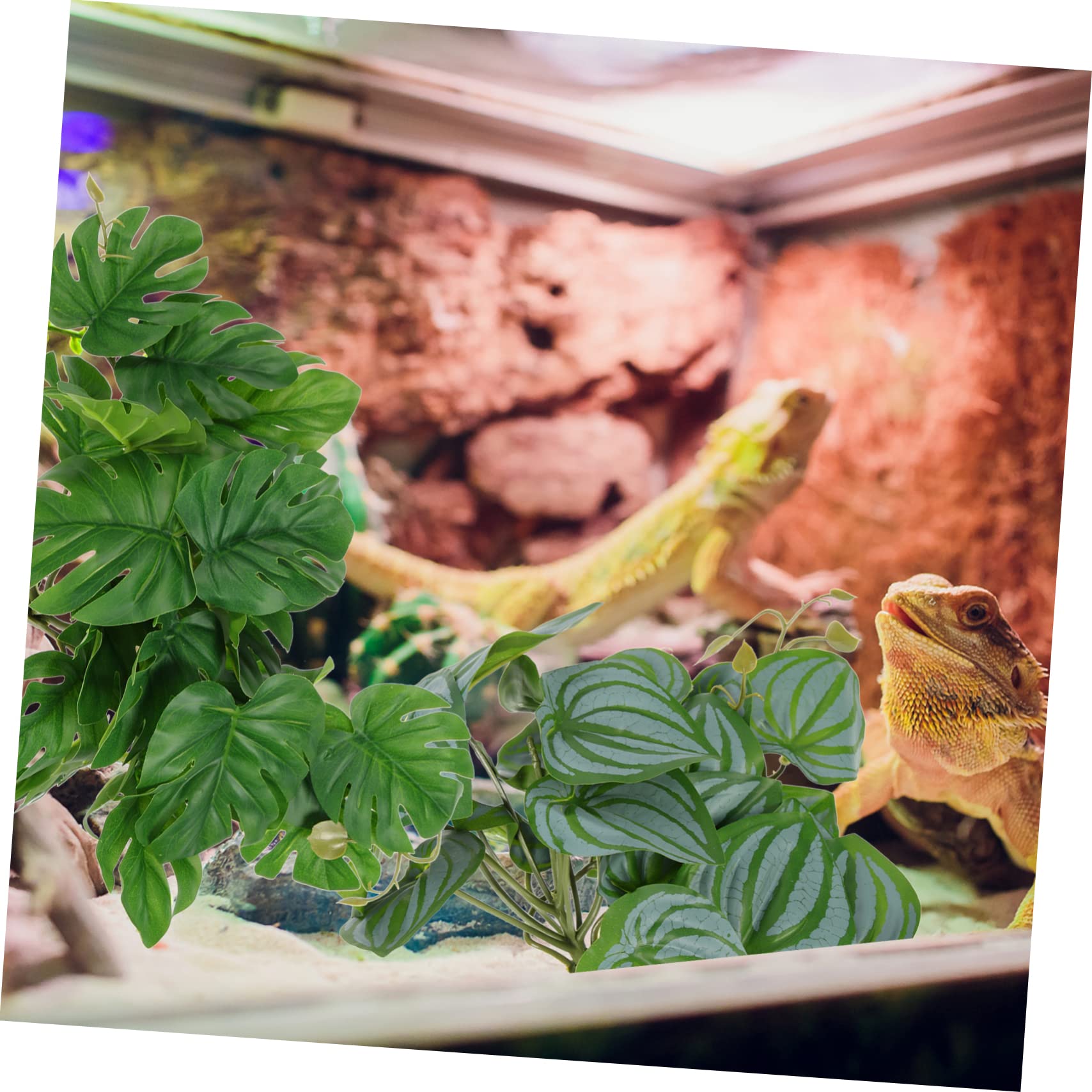 BESPORTBLE 10piezas Decoración De Terrario para Reptiles De Artificiales Simuladas para Acuarios y Terrarios Plantas Ornamentales Lifelike para Hábitats De Reptiles y Peceras