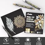 Stylos de peinture en acrylique métallique, 12PCS or, argent, blanc, noir, double pointe marqueurs métalliques, Stylo de séchage rapide en acrylique pour roche, bois, verre, tissu, toile, céramique, métal