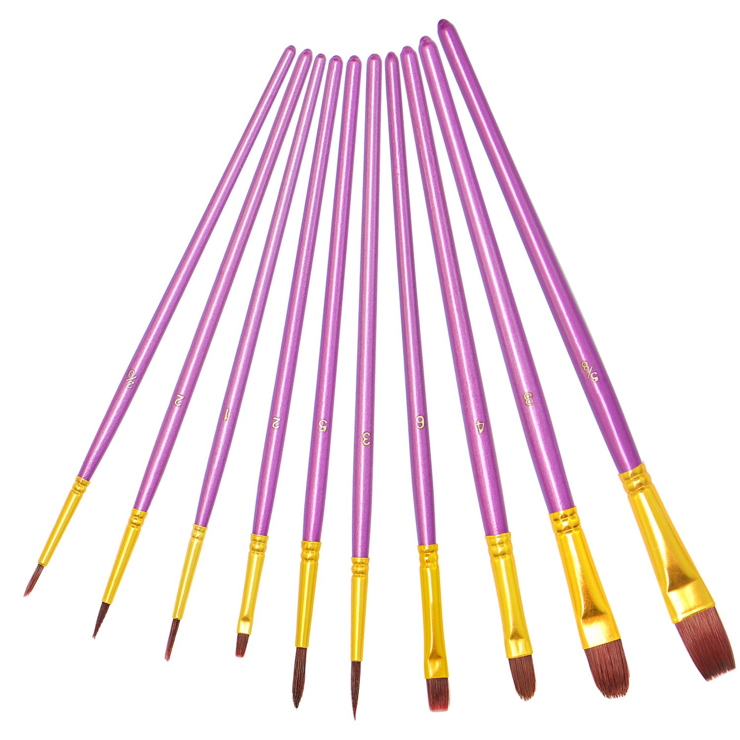 Purple paint brush neopets Purple paint brush neopets