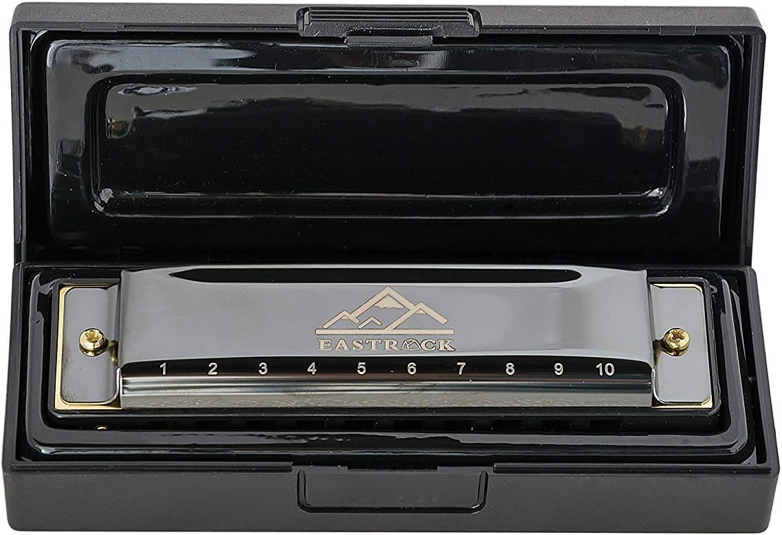 EastRock Blues Harmonica Mouth Organ 10 Hole C Key with Case, Diatonic Harmonica for Professional Player Beginner Students gifts, Adult Friends Gift Black : Musical Instruments