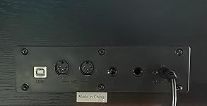 Review Image by Papaya