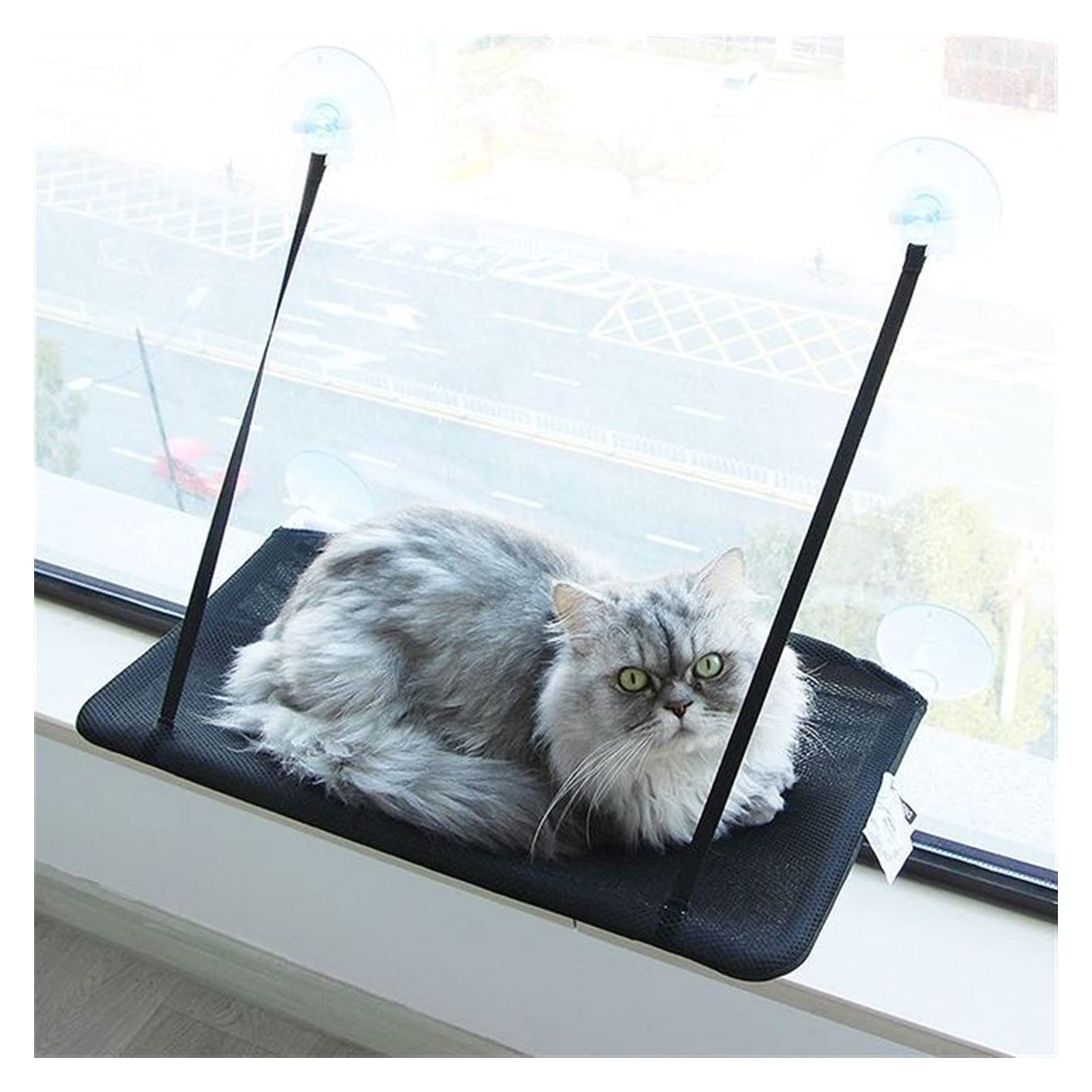 Hamac Chat/Perchoir à Chat Perche de fenêtre de chat, chat vitrine Hamac d'intérieur Espace intérieur Sauvegarde de la fenêtre de chat monté, for grand chat et chaton Hamac pour Animaux ( Color : Noir