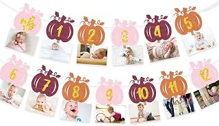 Pumpkin 12 Month Photo Banner For Baby First Year Old Party Decoration Fall Autumn 1st Milestone Garland Burgundy Orange Pink