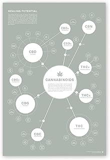Cannabinoid Infographic Chart Art Print, Medical Cannabis Effects Poster, Marijuana Decor, Designed by Goldleaf (24x36)