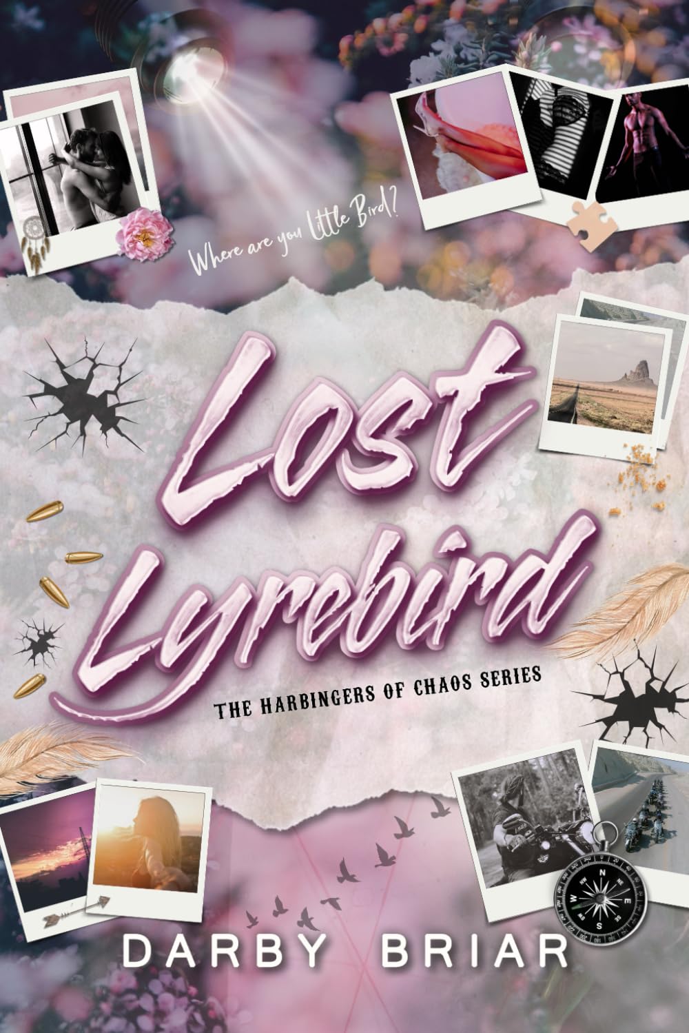 Lost Lyrebird: 2 (Harbingers of Chaos)
