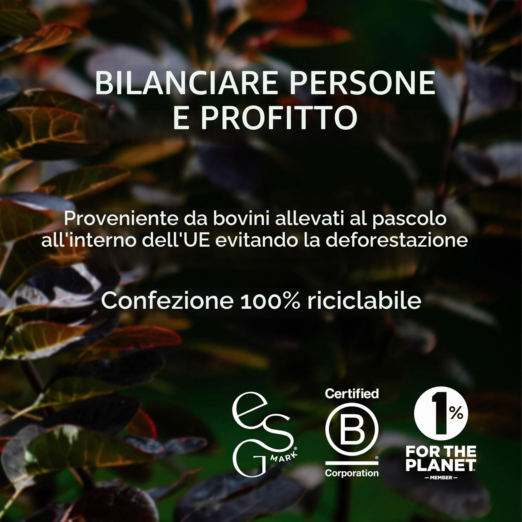 Ancient + Brave True Collagen 200g - Collagene Idrolizzato al 100% (Tipo 1) da Bovini Grass Fed - Peptidi di Collagene in Polvere ad Alto Contenuto Proteico - Pelle, Capelli e Unghie