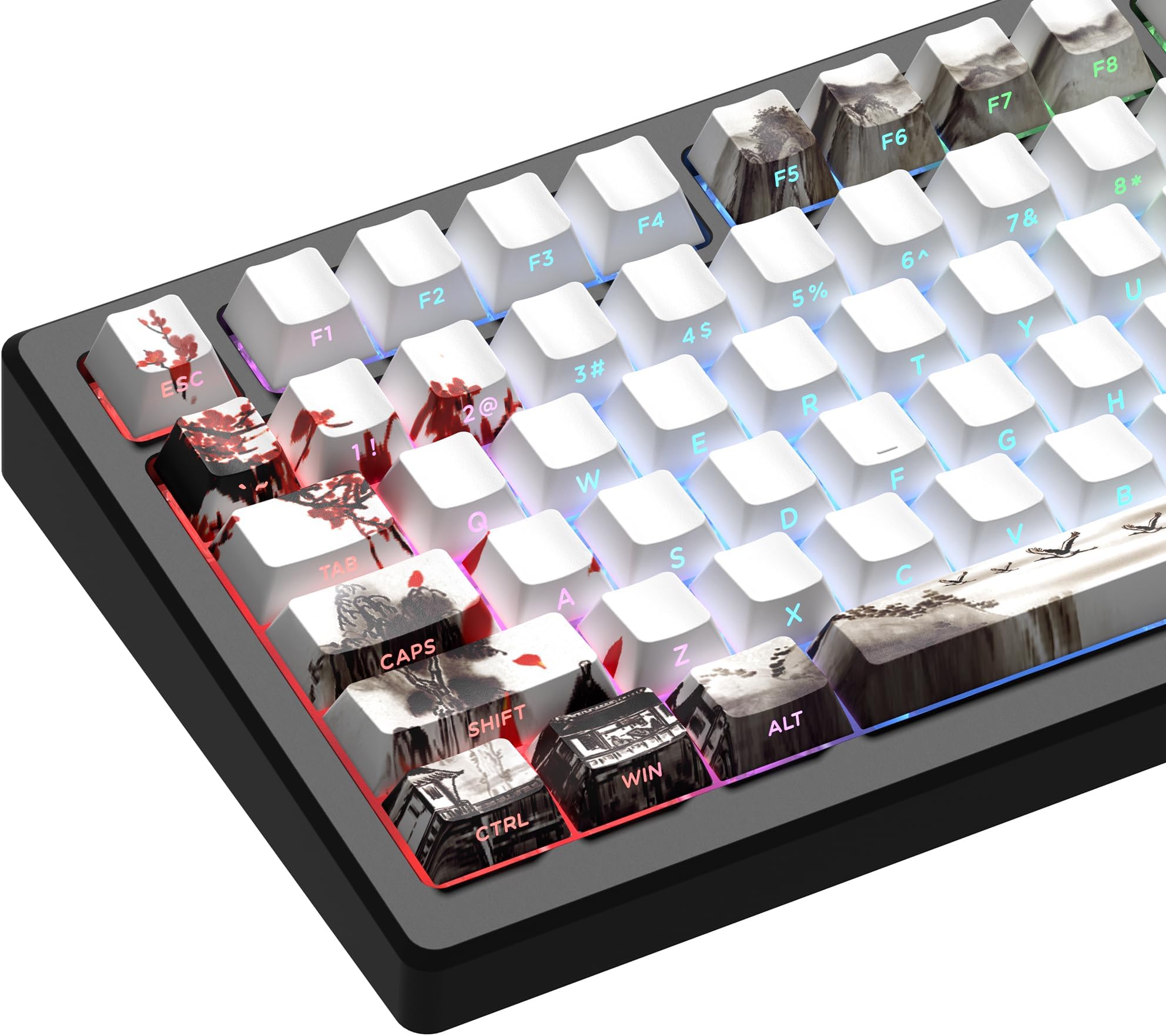 XVX PBT Keycaps - Side Print, Shine Through Custom, Retro Keycap Set, 75 Percent, Cherry Profile, 128 Keys, Plum Blossom