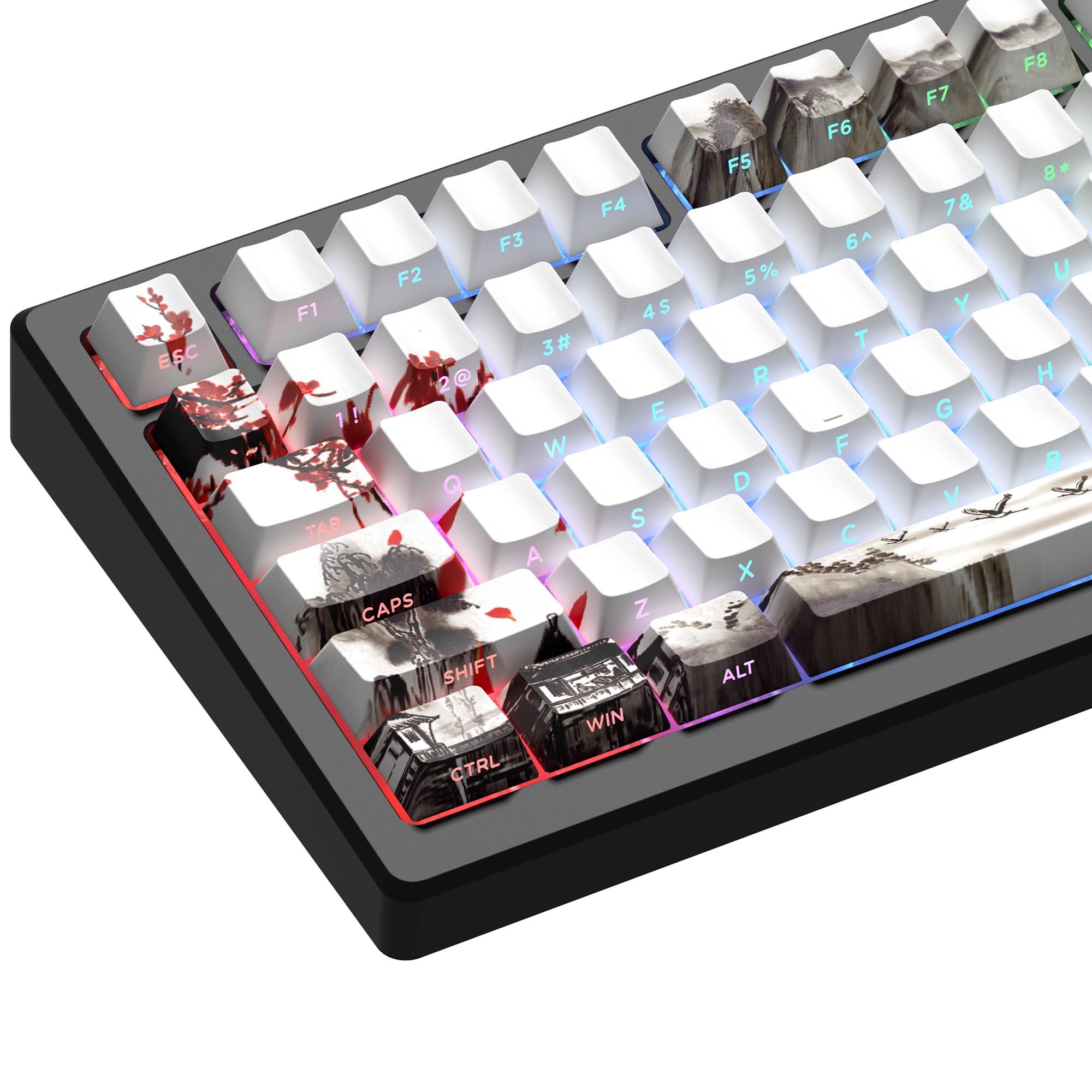XVX PBT Keycaps, Custom Keyboard Keycaps 60 75 100 Percent, Shine Through Cherry Profile Keyboard Caps, Doubleshot Side Print Dye Sub Keycap Set (Plum Blossom)