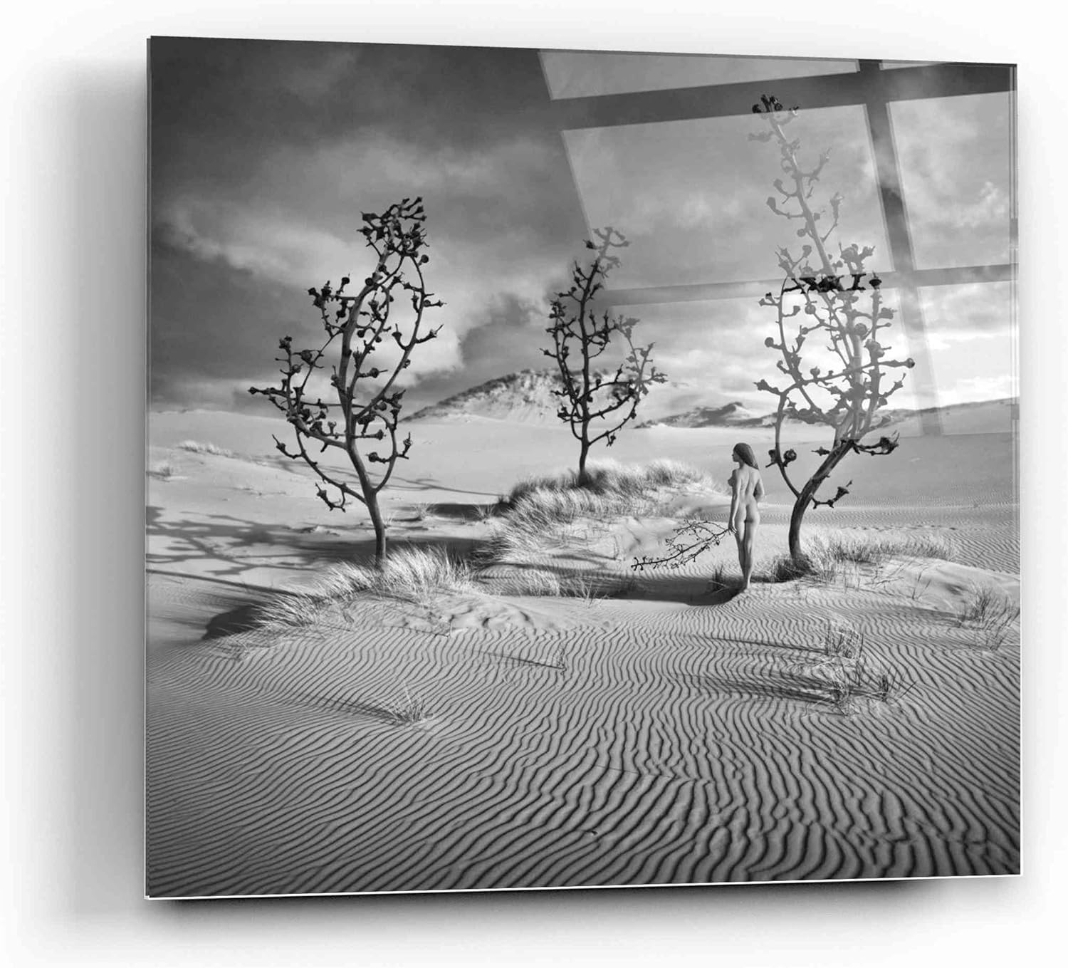 Epic Art 'Egarden' by Dariusz Klimczak, Acrylic Glass Wall Art, 12"x12"