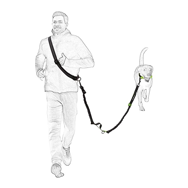 Foto 5 de 7 de Mile High Life Manos Libres retráctiles para Perros Leash Bungees Negros Dobles Reflectantes (213CM, Naranja)