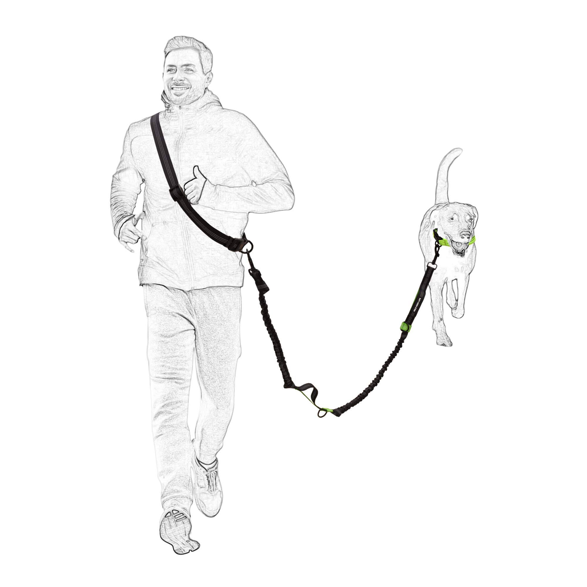 Mile High Life | Laisse Rétractable Mains Libres 2m pour Chien 50 Kg | Réfléchissante | pour Petit, Moyen Et Grand Chien | (Marrone)