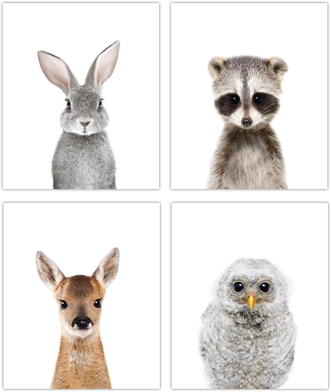 Designs by Maria Inc. Woodland Baby Animals Nursery Decor Art - Set of 4 (Unframed) Wall Prints (8x10) (Option 2)
