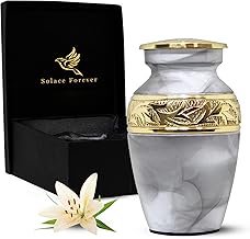 White Keepsake Urn - Small Urn for Human Ashes with Box & Bag Included - Mini Urn for Ashes - Perfect Memorial Urn - Honor Your Loved One with Small Cremation Urn - White Urn for Adult Small Size