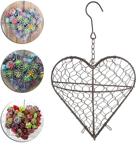 Miniatura 7 de JYCAR Macetas en forma de corazón de hierro para suculentas, cesta colgante de metal con gancho, cesta colgante de flores para plantas de interior y