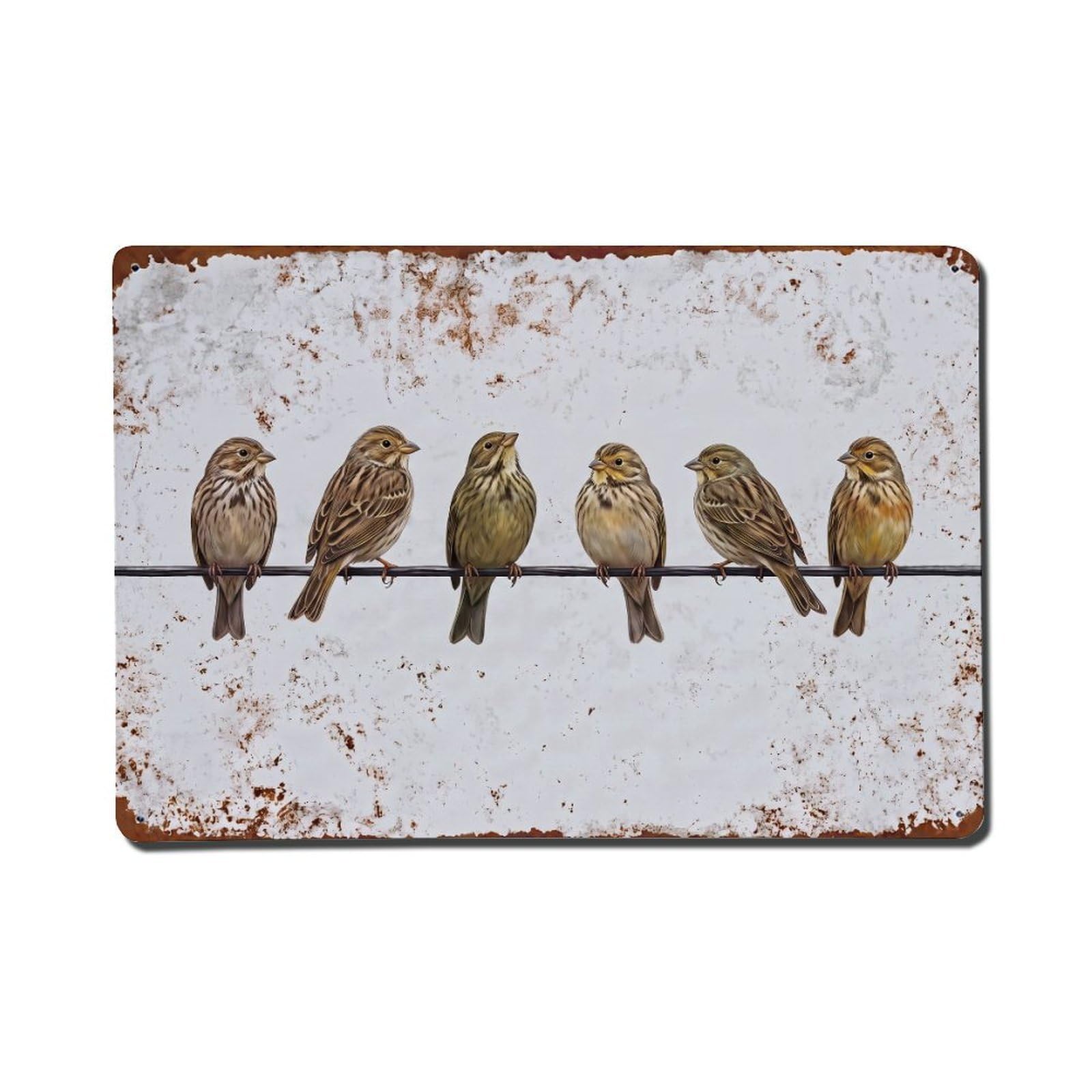 Vintage Retro Birds Corn Bunting Metal Tin Sign