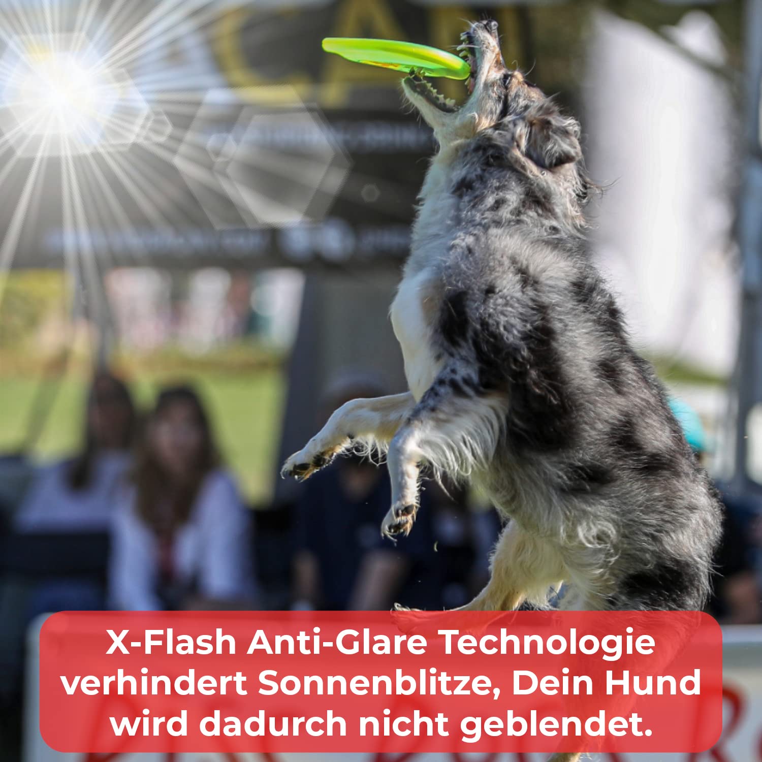 Hyperflite K10 Jawz bissfeste Hunde Frisbee GELB mit X-Flash Anti Glanz gegen Sonnenblitze