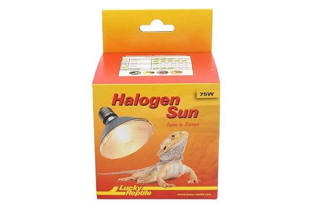 Foto 3 de 3 de Lucky Reptile Halogen Sun Paquete de 2 - Calentador 75 W para portalámparas E27