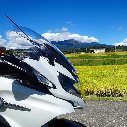 Miniatura 3 de Calcomanías para manija de puerta para BMW 1 2 3 4 5 6 7 Series X1 X2 X3 X4 X5 X6 X7 M3 M5 Z4 (calcomanía para manija de puerta, color blanco)