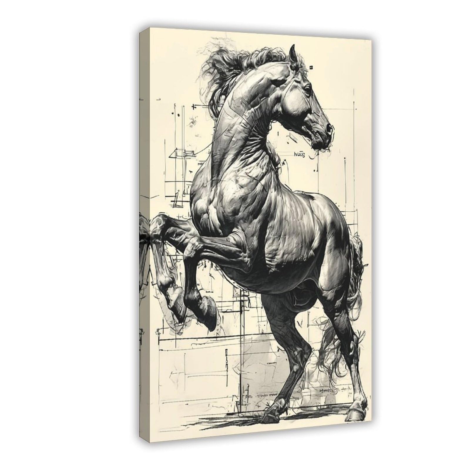Bareronor Interesting Abstract Horse (4) Canvas Poster Bedroom Decor Landscape Office Room Decor Gift 12" L X 18" W