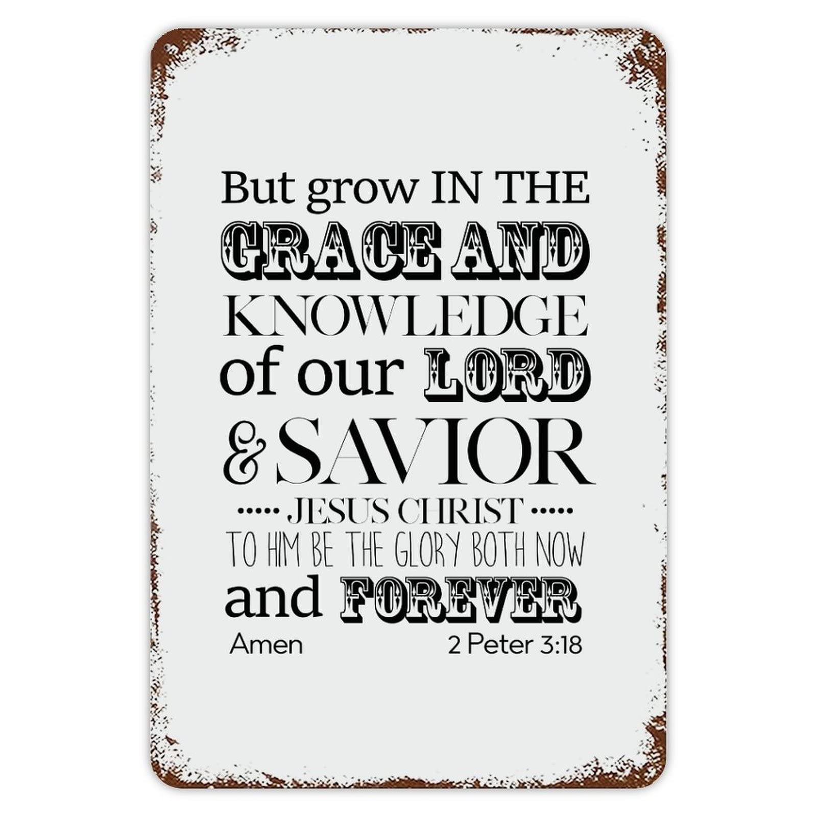ENEDNATE But in The Grace and Knowledge of Our Lord & Savior Quote Metal Signs Funny Vintage Street Aluminum Metal Tin Sign for Living Room Bedroom Bathroom Kitchen Decor 8x12
