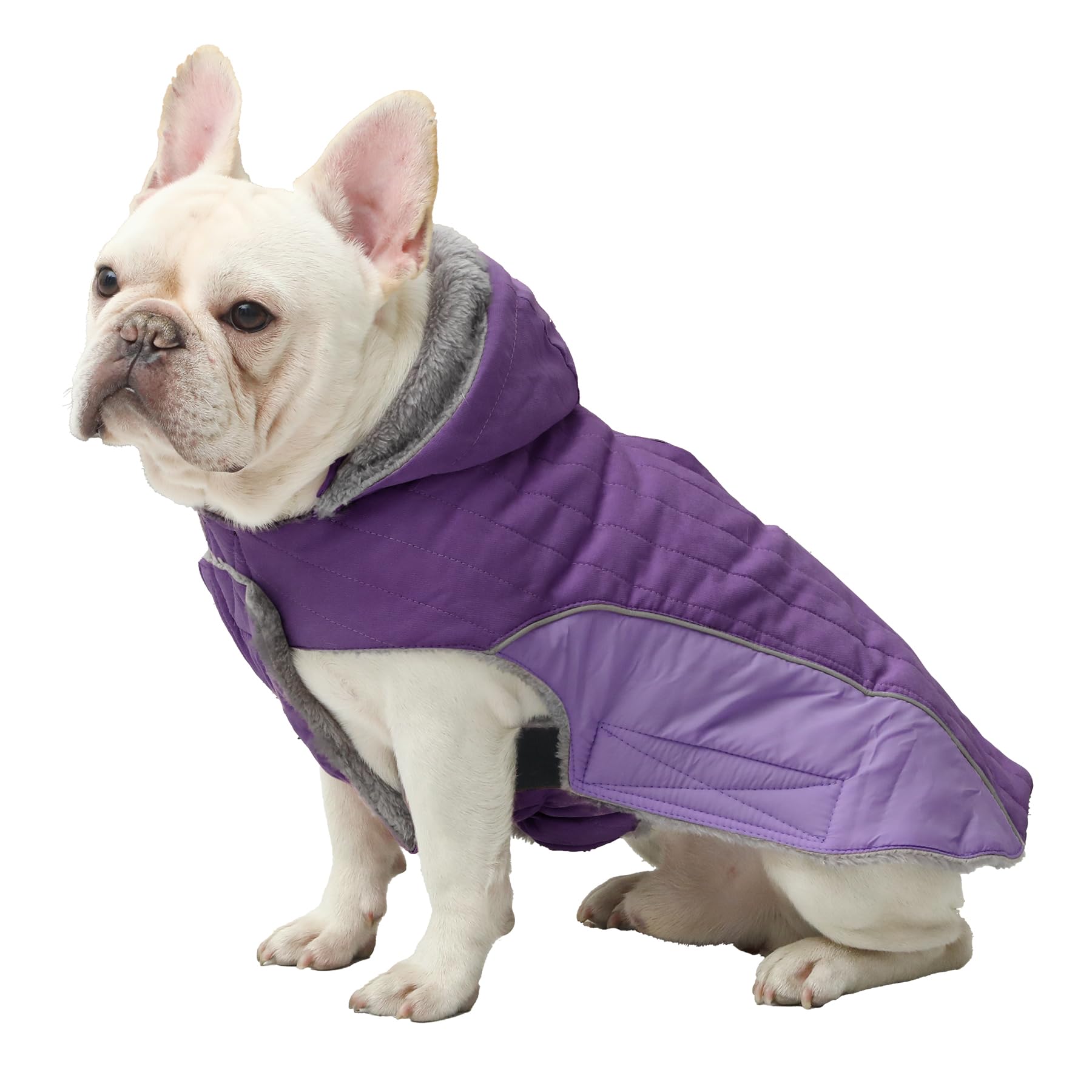 JoyDaog Fleece Dog Hoodie for Small Dogs Super Warm Puppy Jacket for Cold Winter Dog Coats,Purple XS