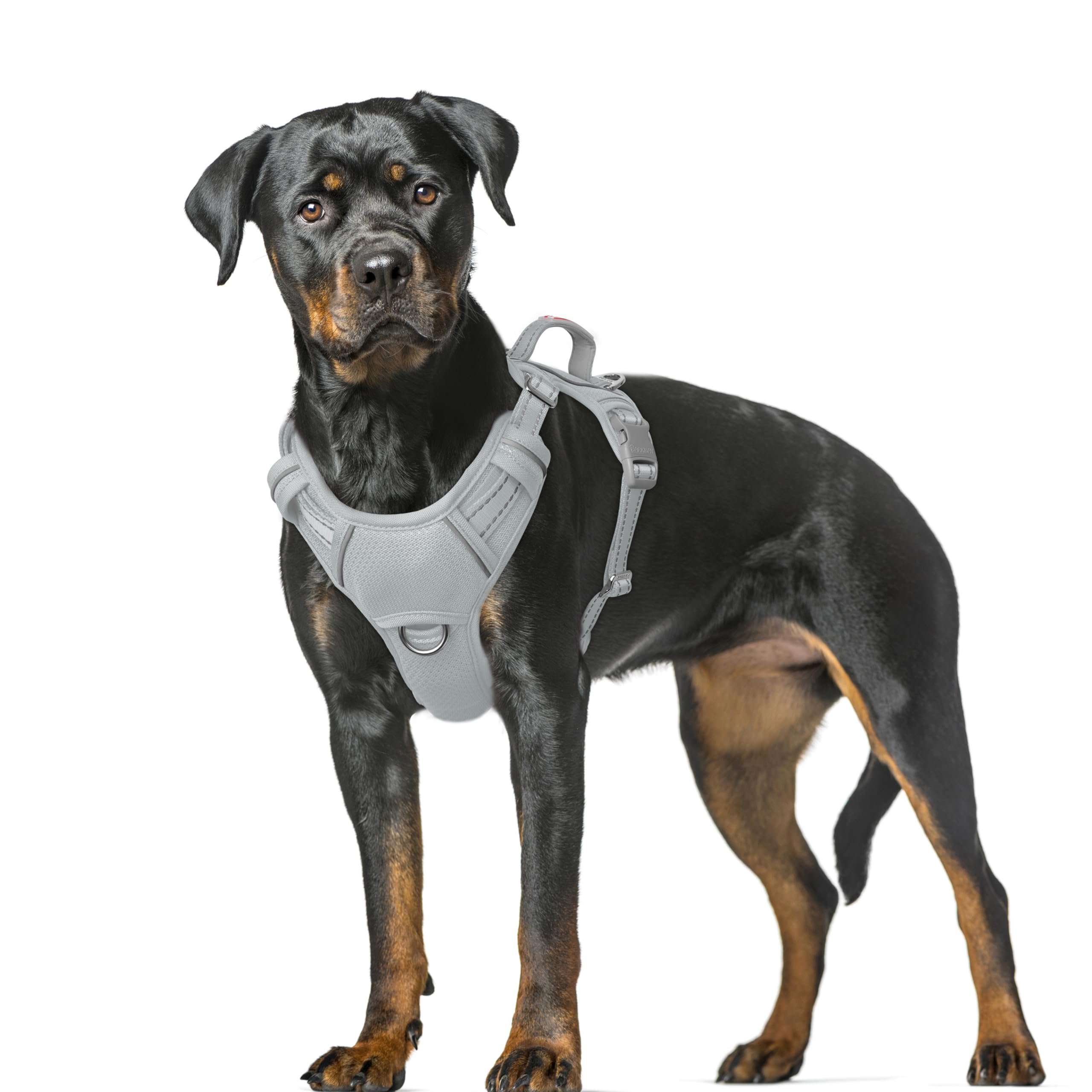 BARKBAY No Pull Dog Harness Large Reflective Dog Harness with Front Clip and Easy Control Handle for Walking Training Running with ID tag Pocket(Grey,XL)
