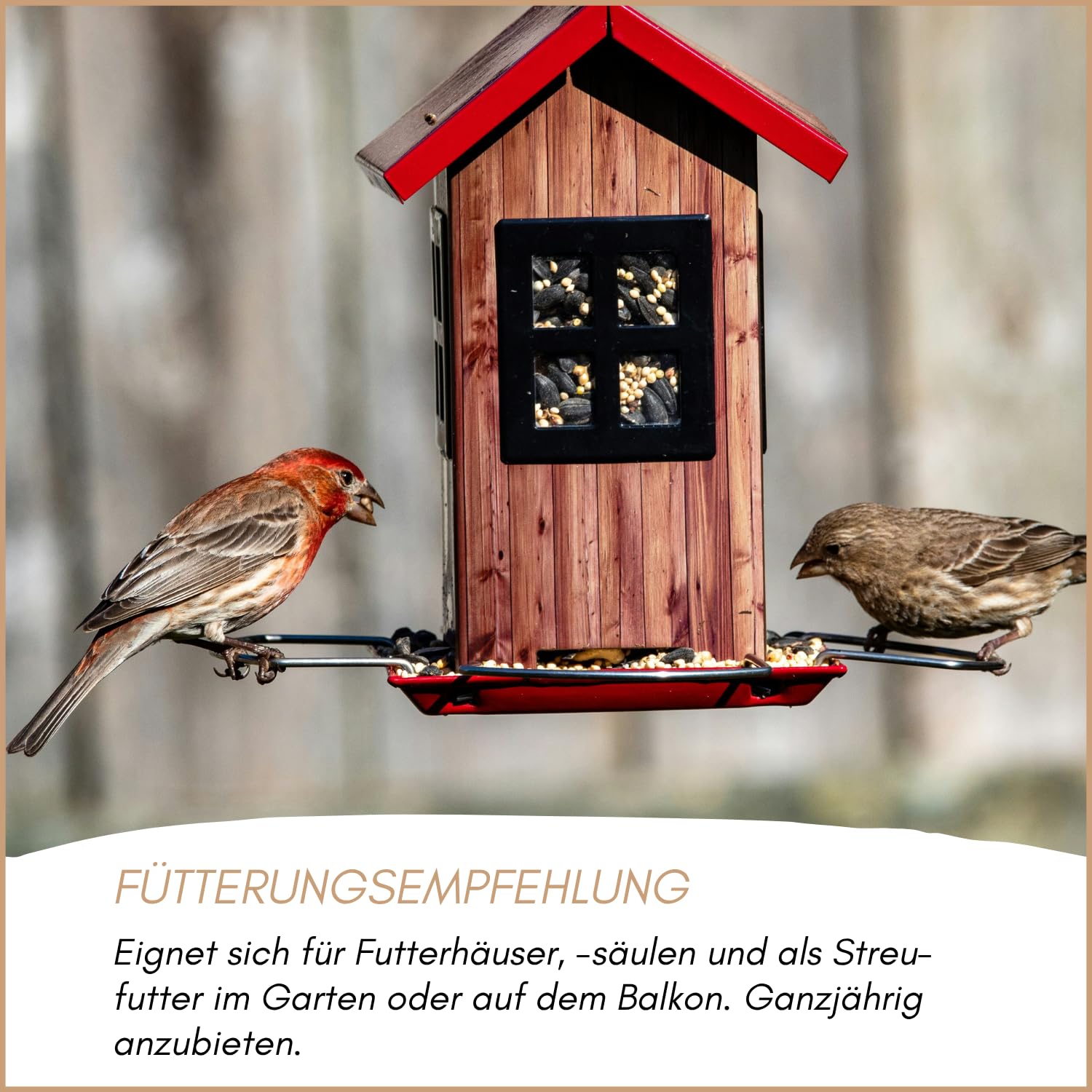 Supravit Spatzenfutter & Sperlingsfutter 25kg – Premium Wildvogelfutter