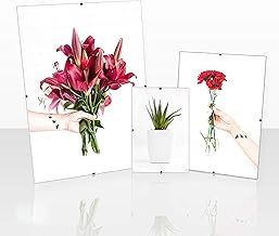 Clippo Frameless Picture Frame, Poster Frame, 35 x 45 cm, Clip Frame, Picture Holder, 45 x 35 cm, Puzzle Size with Back Panel and Mirrorless Anti-Reflective Artificial Glass, 1 mm