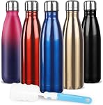 Sfee Insulated Water Bottle, 17oz Stainless Steel Water Bottles, Double Wall Vacuum Reusable Water Bottles Leak Proof BPA-Free Sports Bottle Cup Keep Hot&Cold for Running Gym Workout Cycling Kids