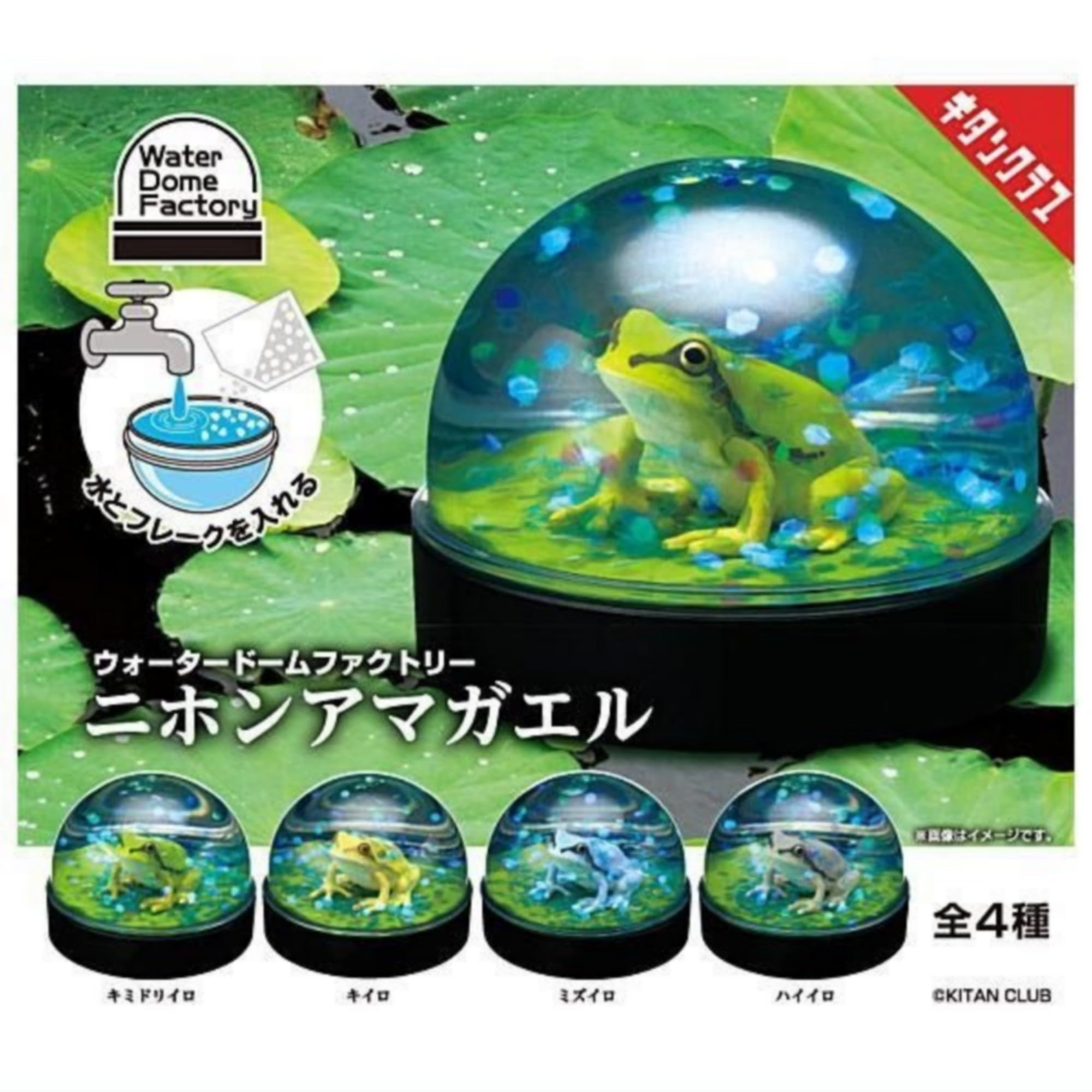 超能力蛙 日本語版4枚セット 超能力蛙/Psychic Frog 4枚セット 超能力蛙 日本語版 Foil 4