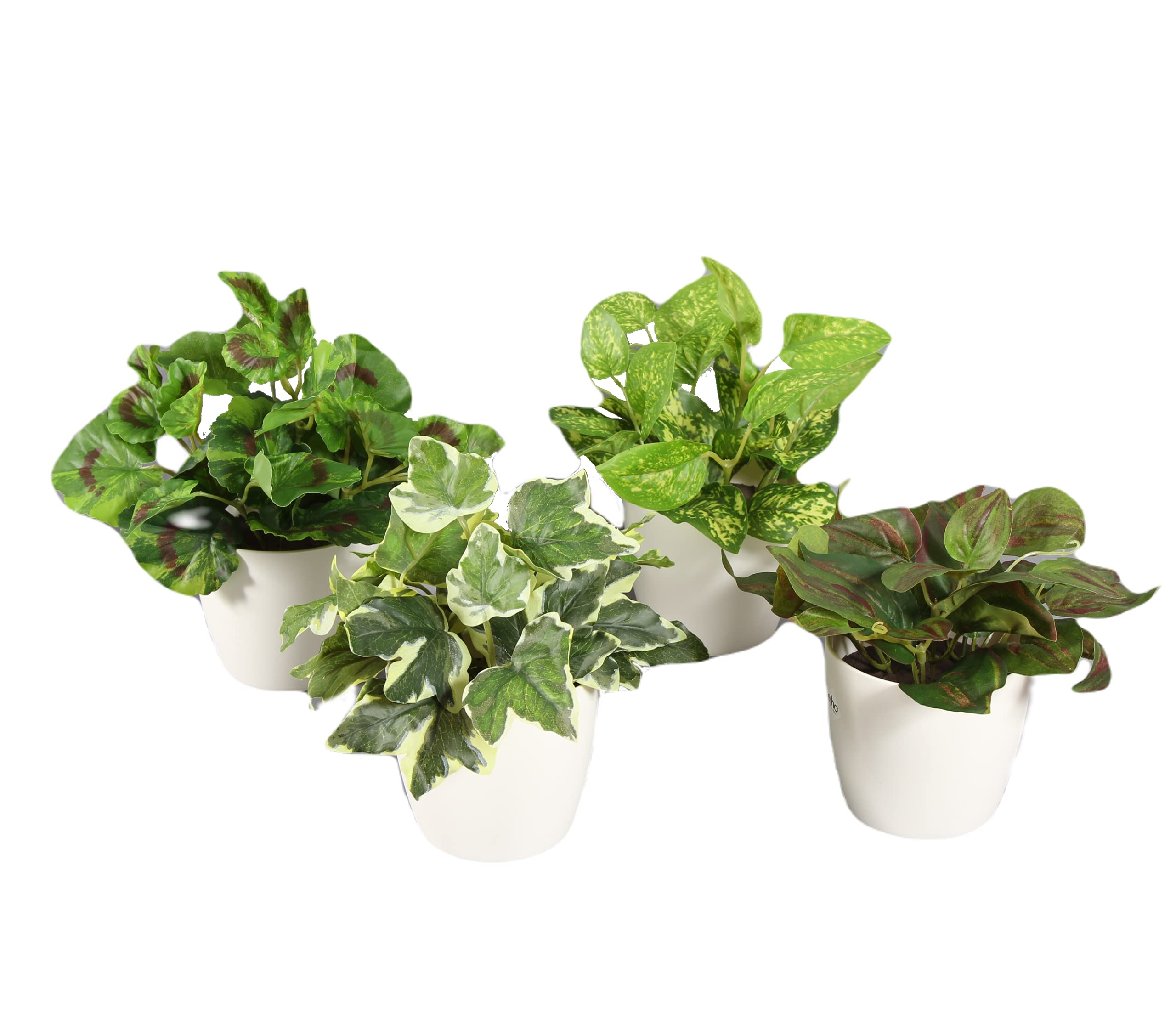 Ingarden Conjunto de 4 macetas Blancas con Plantas Artificiales para Interior de 20cm de Altura, Maceta incluida