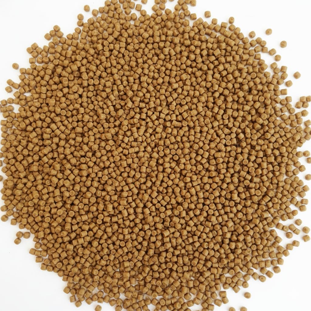Premium Catfish Pellets - Sinking Bottom Feeder High Protein (54%) 2mm Fish Food (100g)