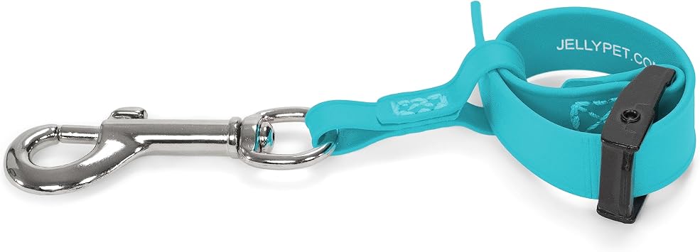 Jelly Pet Safety Dog Tether, Made in the USA, for Pet Grooming Table Arm Helper Teal