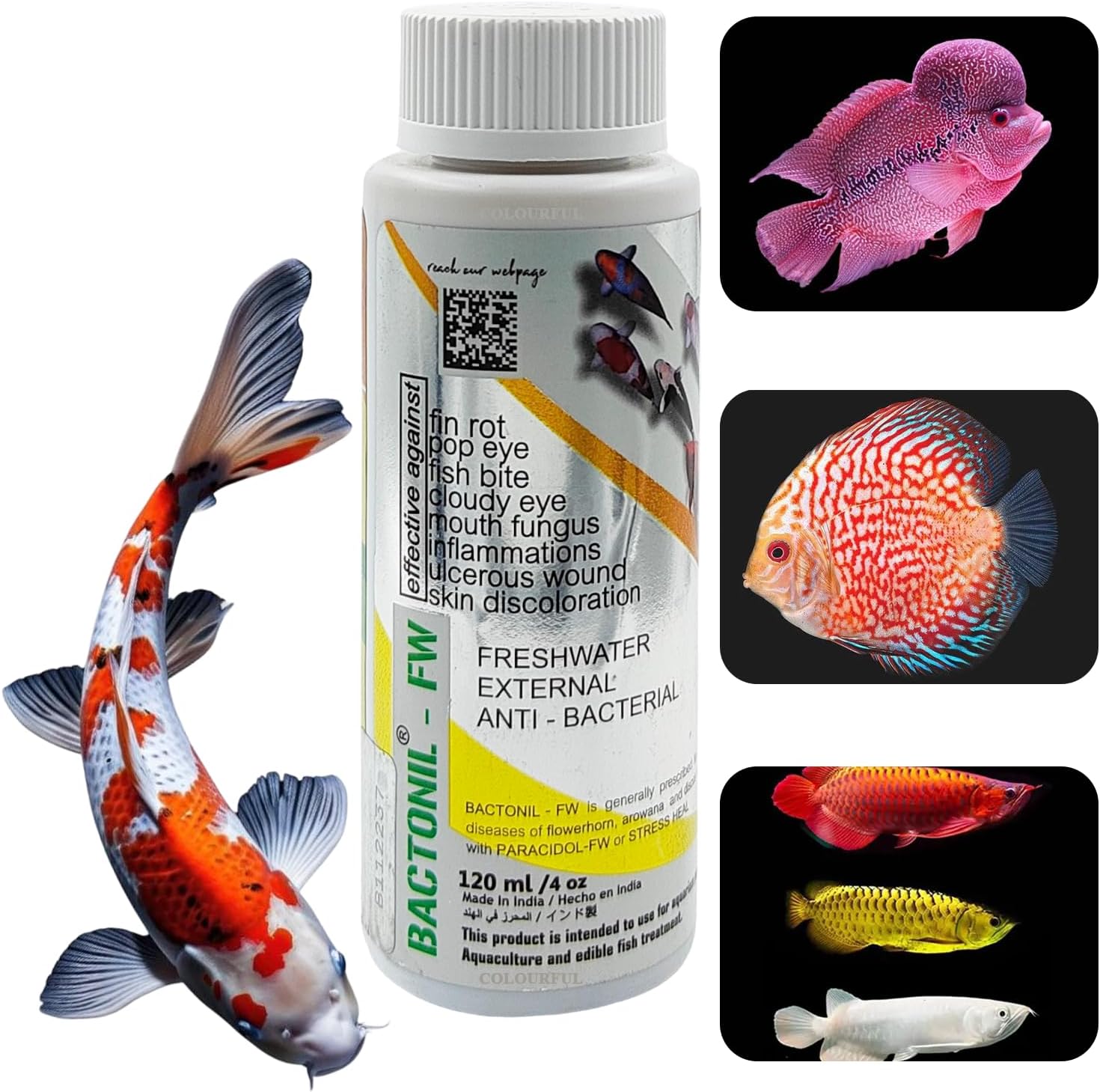 BACTONIL –FW Freshwater Anti-Bacterial Solution for Aquarium Fish | for All Common Diseases of flowerhorn, arowana and Discus (BACTONIL –FW, 120ml), Pack of 1