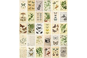 Vintage Botanical Floral Postcards for All Occasions