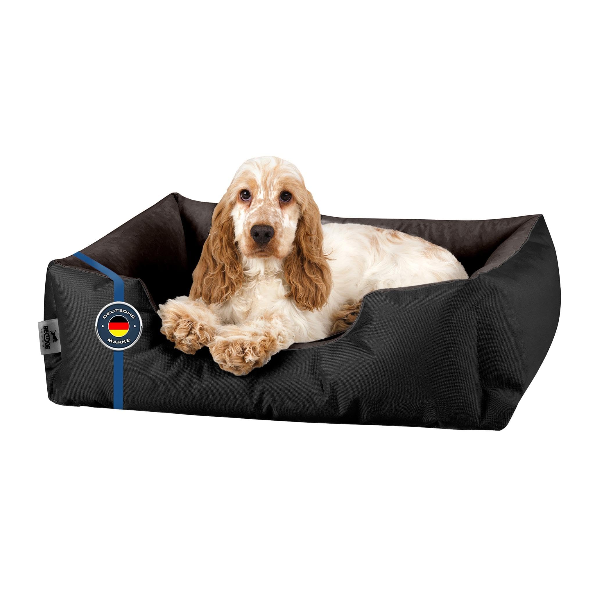 Hundebett BedDog S | Abziehbarer Bezug Waschbar | Für Kleine Hunde | Gelenkschonend & Kuschelweich