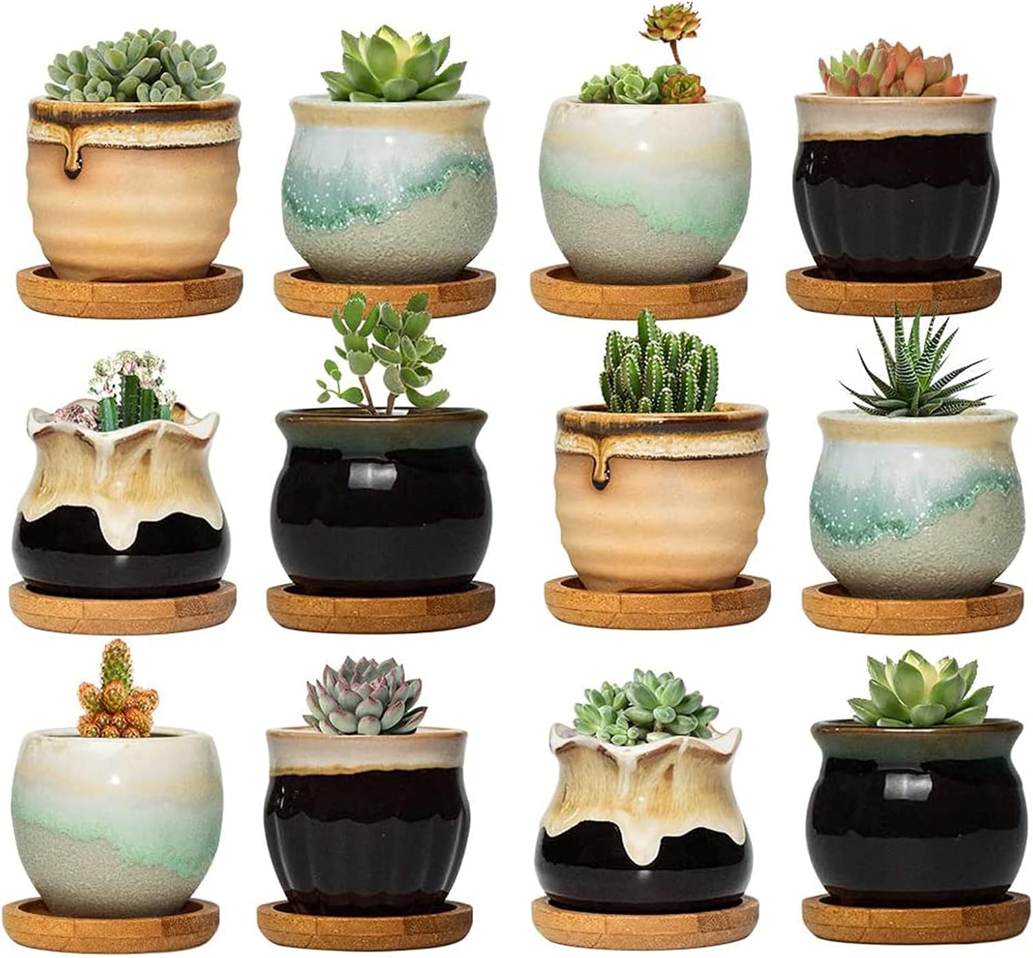 FairyLavie Succulent Pots, 2.5'' Ceramic Succulent Planter, Small Succulent Pot with Drainage, Great for Home Decor and Ideal Gift, Set of 12 : Patio, Lawn & Garden