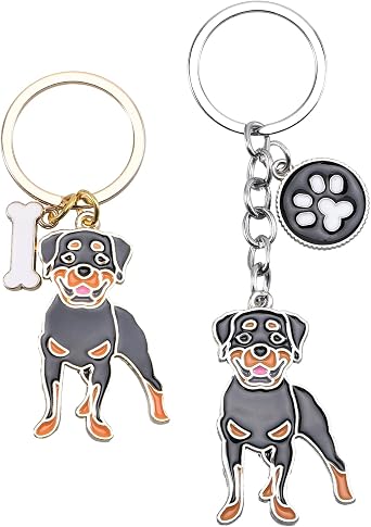 Dog Car Keychain - Lovely Portable Metal Key-Ring for Pet Lovers - Birthday Puppy Theme Gift